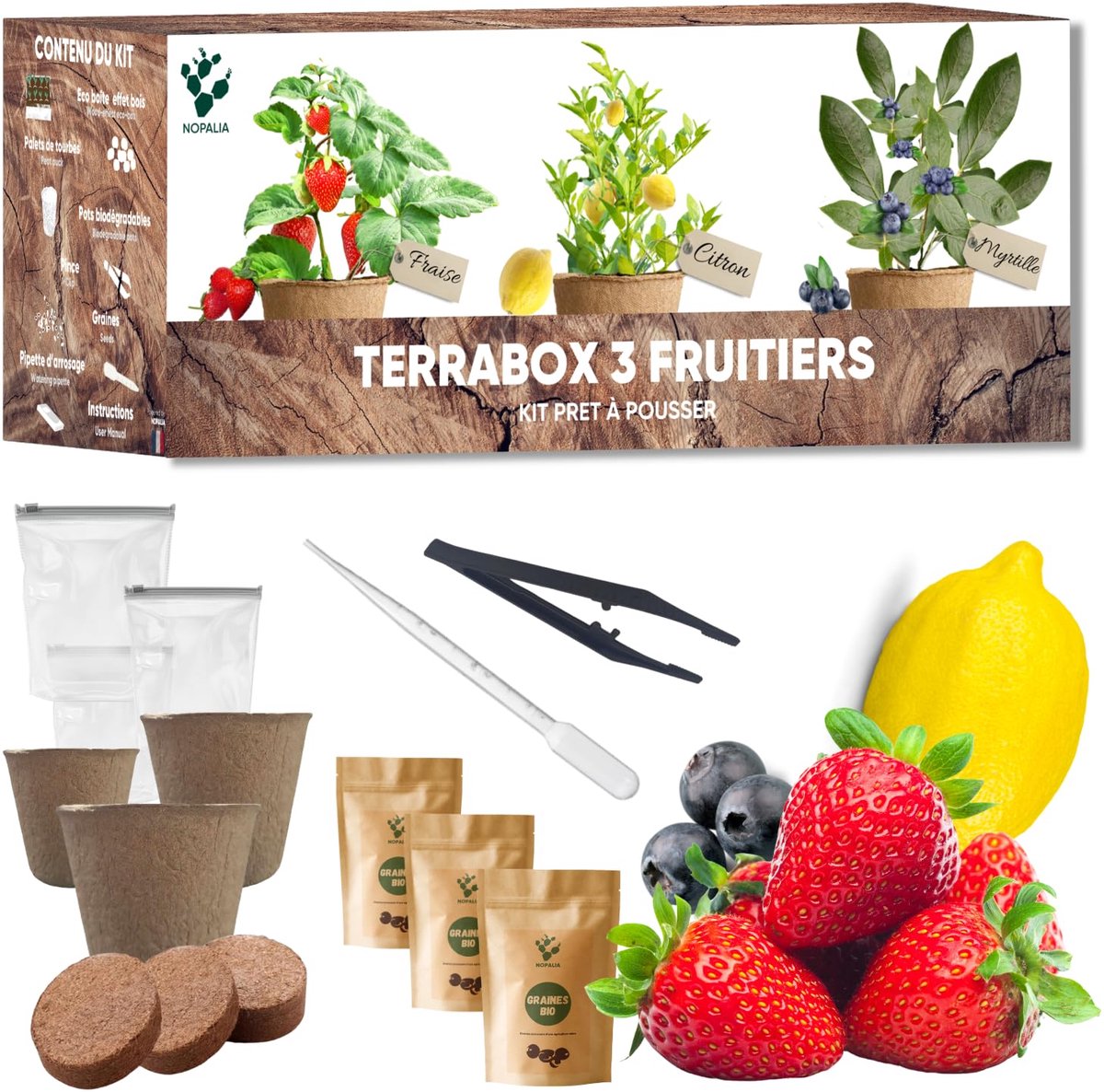 SnelShoppen - Mini-fruitset met biologische zaden, aardbeien, bosbessen en mini-citroenboom, perfect voor tuin en binnen, milieuvriendelijke decoratie