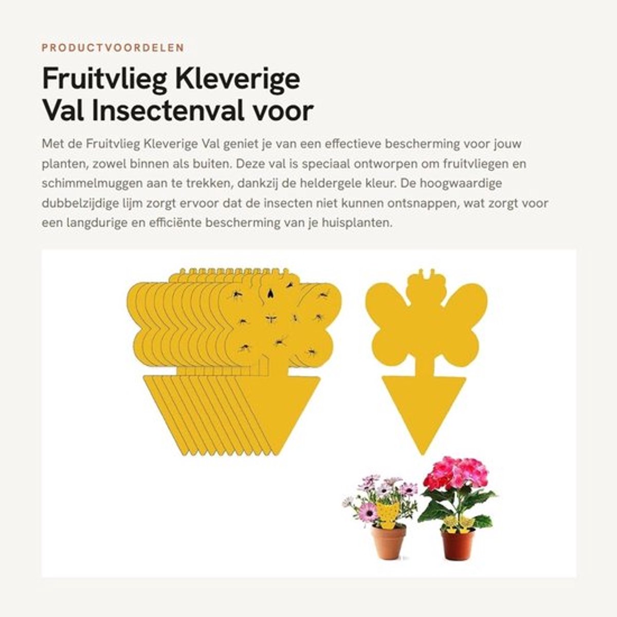 Fruitvliegval 12 Stuks - Dubbelzijdige Lijm - Insectenvanger - Niet Giftig - UV-Bestendig - Waterdicht - Insectenval