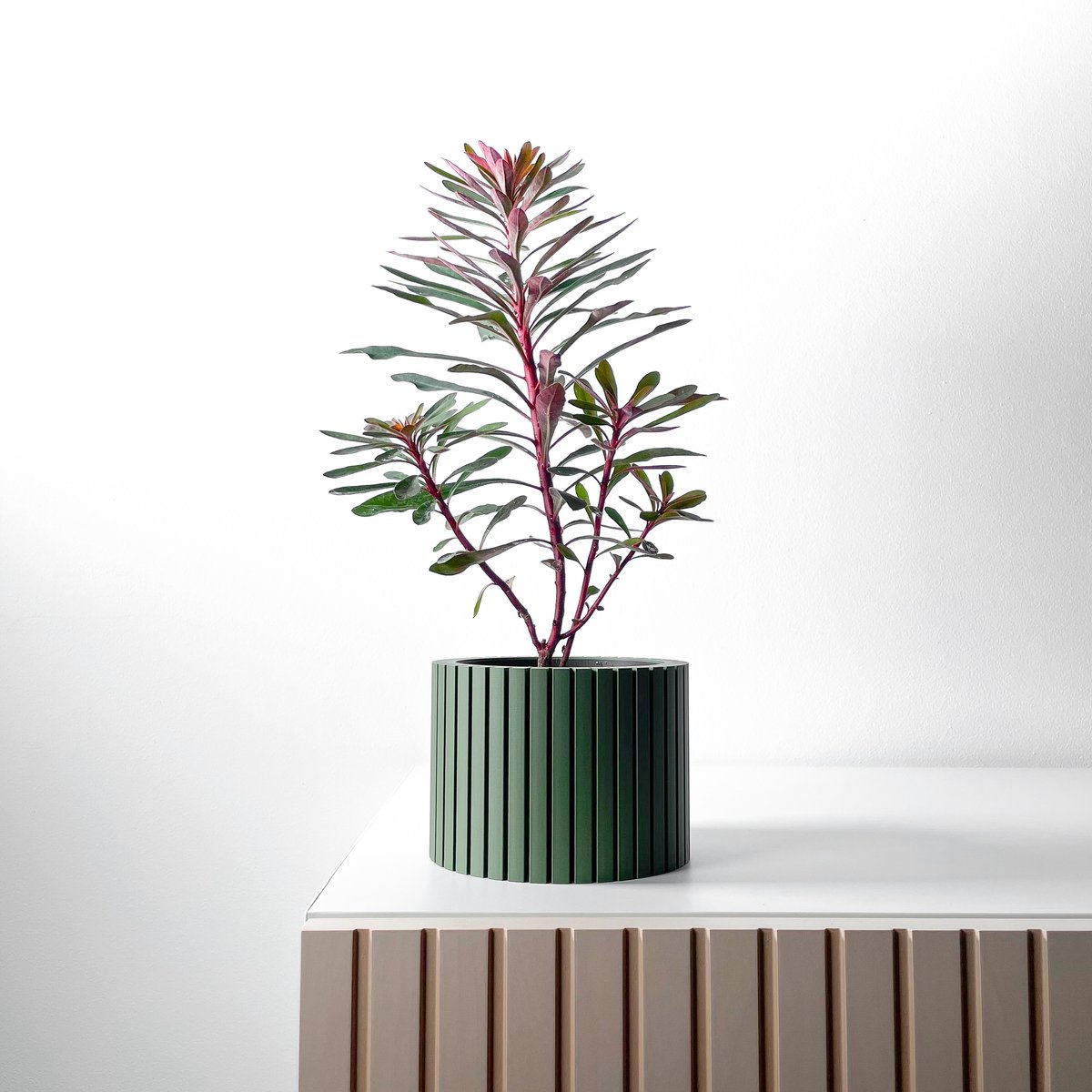 Skushy Zelno Bloempot - Moderne Designpot voor Kamerplanten - Sculpturale Plantenpot voor Woonkamer en Kantoor - Premium Woondecoratie