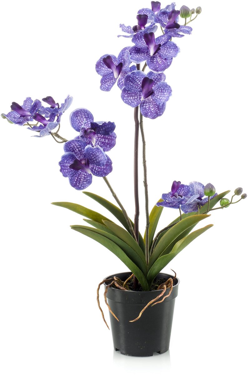 Emerald Kunstplant Vanda in pot paars 60cm - Kunstplant voor binnen