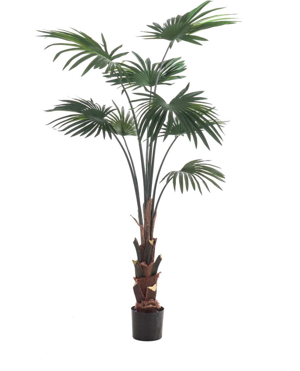 Emerald Kunstplant Livistona Palm 150cm - Kunstplant voor binnen Groen