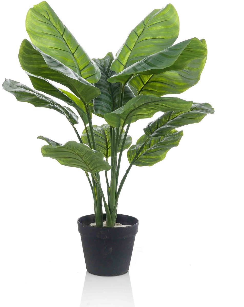 Emerald Kunstplant Calathea Orbifolia 70cm - Kunstplant voor binnen Groen