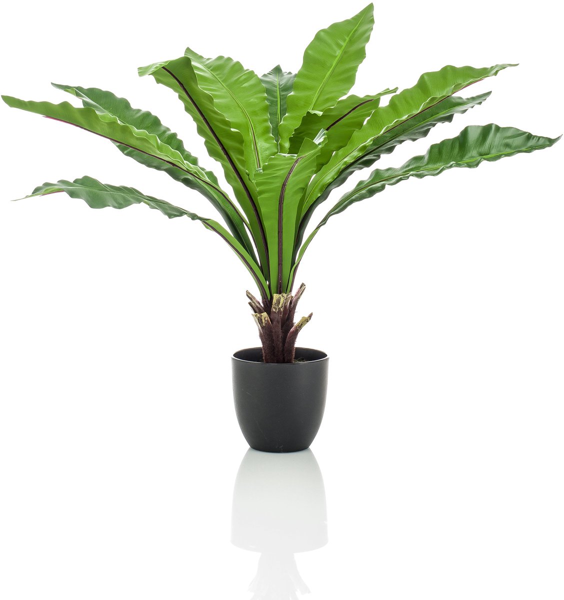 Emerald Kunstplant Asplenium Fern 75cm - Kunstplant voor binnen Groen