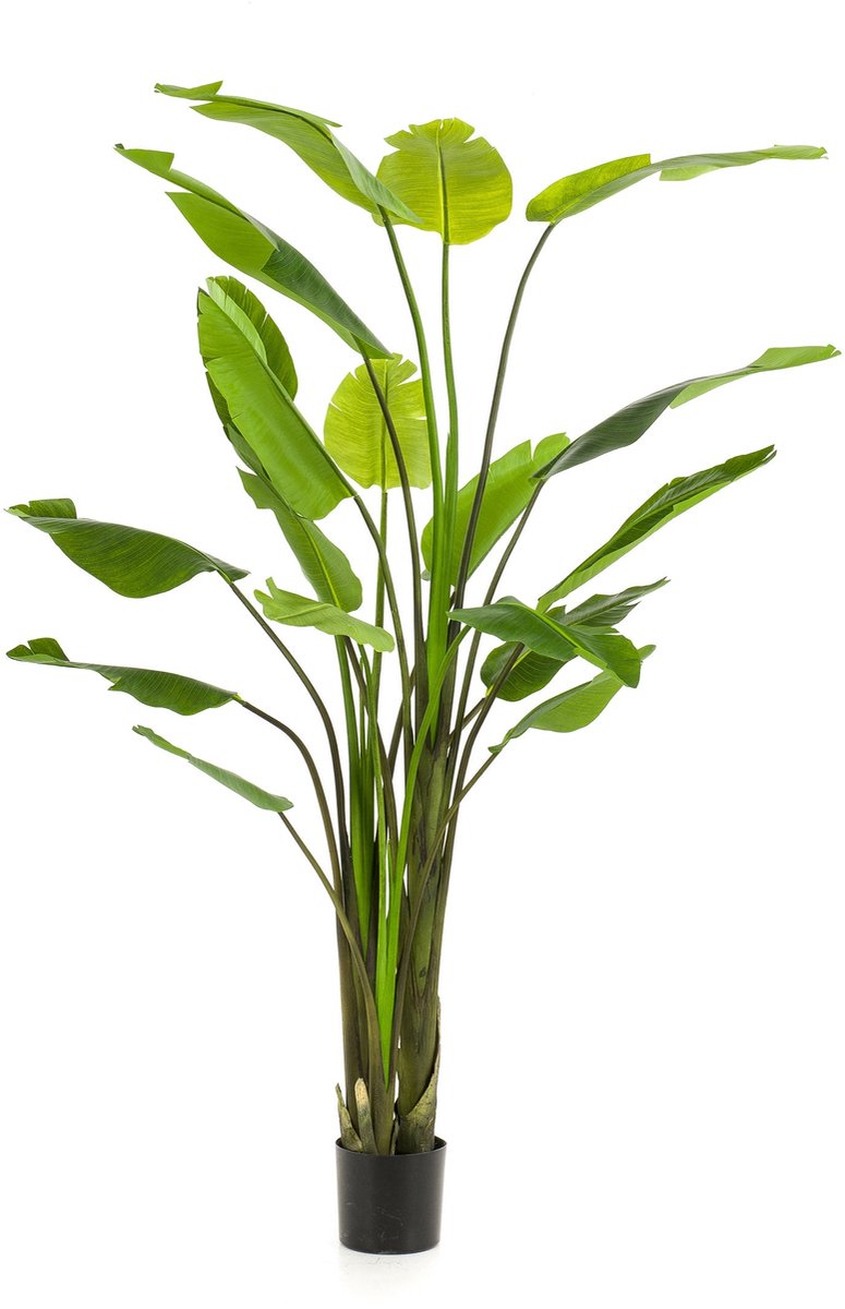 Emerald Kunstplant Strelitzia Nicolai 235cm - Kunstplant voor binnen Groen