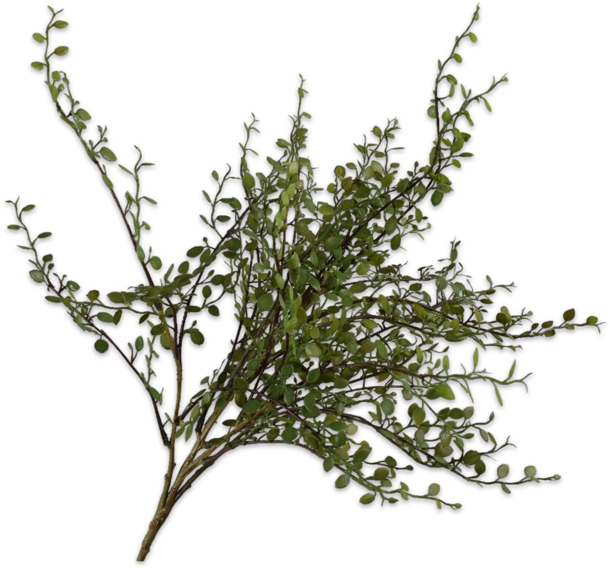 Silk-ka - Kunstplant - Steker - Buxes - Groen - 58 cm