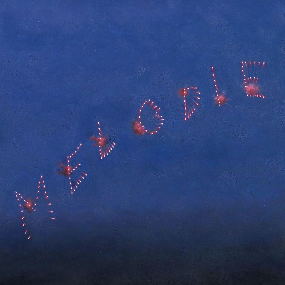 Slow Pulp - Melodie (LP)
