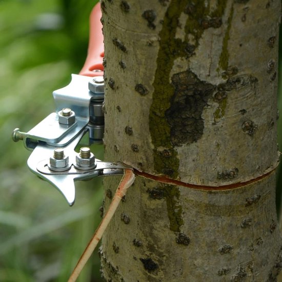 Boom Schors Snijder - Snoei Schaar - Fruit Bomen - Verstelbaar Dubbel Tand - 22x4x1 cm - Groen — afbeelding 5