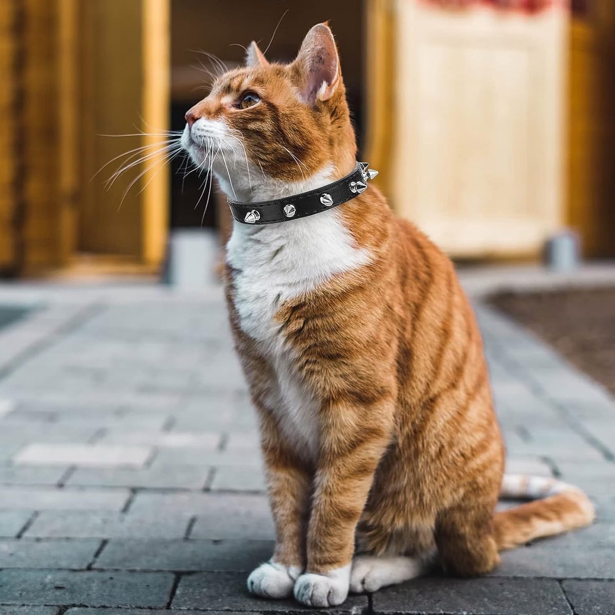 SnelShoppen - Spiked Hondenhalsbanden - Lederen Halsband met Spikes en Klinknagels voor Kleine, Middelgrote en Grote Honden - Duurzaam en Stijlvol - B