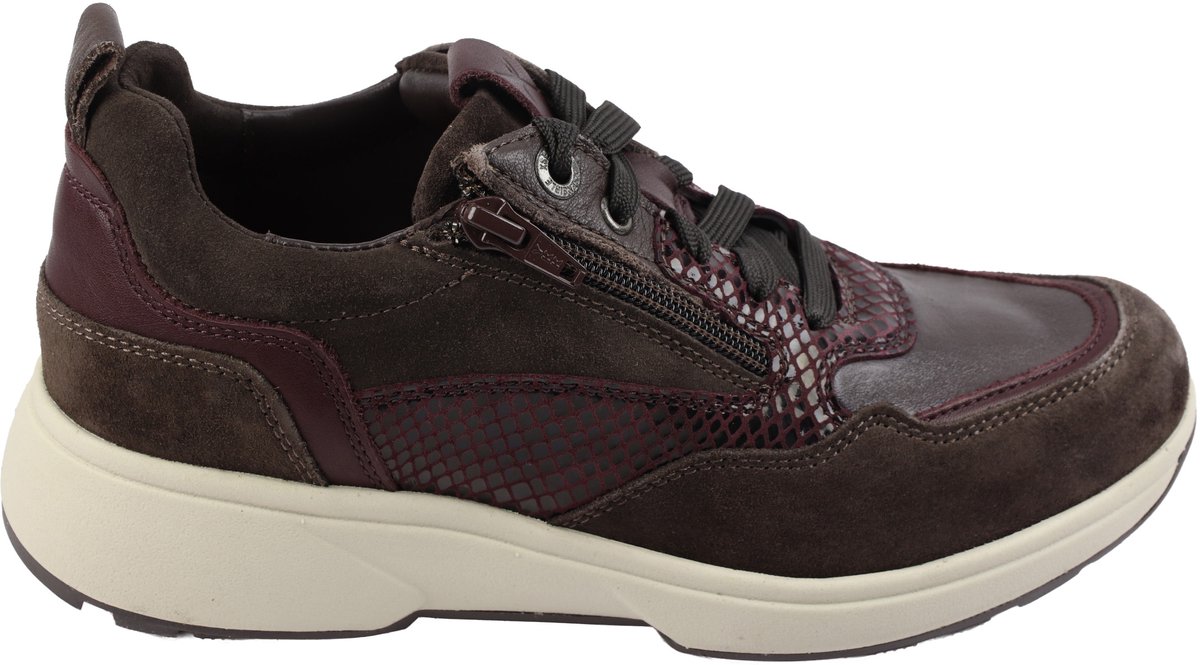 Xsensible - Grenoble 30215 - Sneakers - bruin kombinatie - 40
