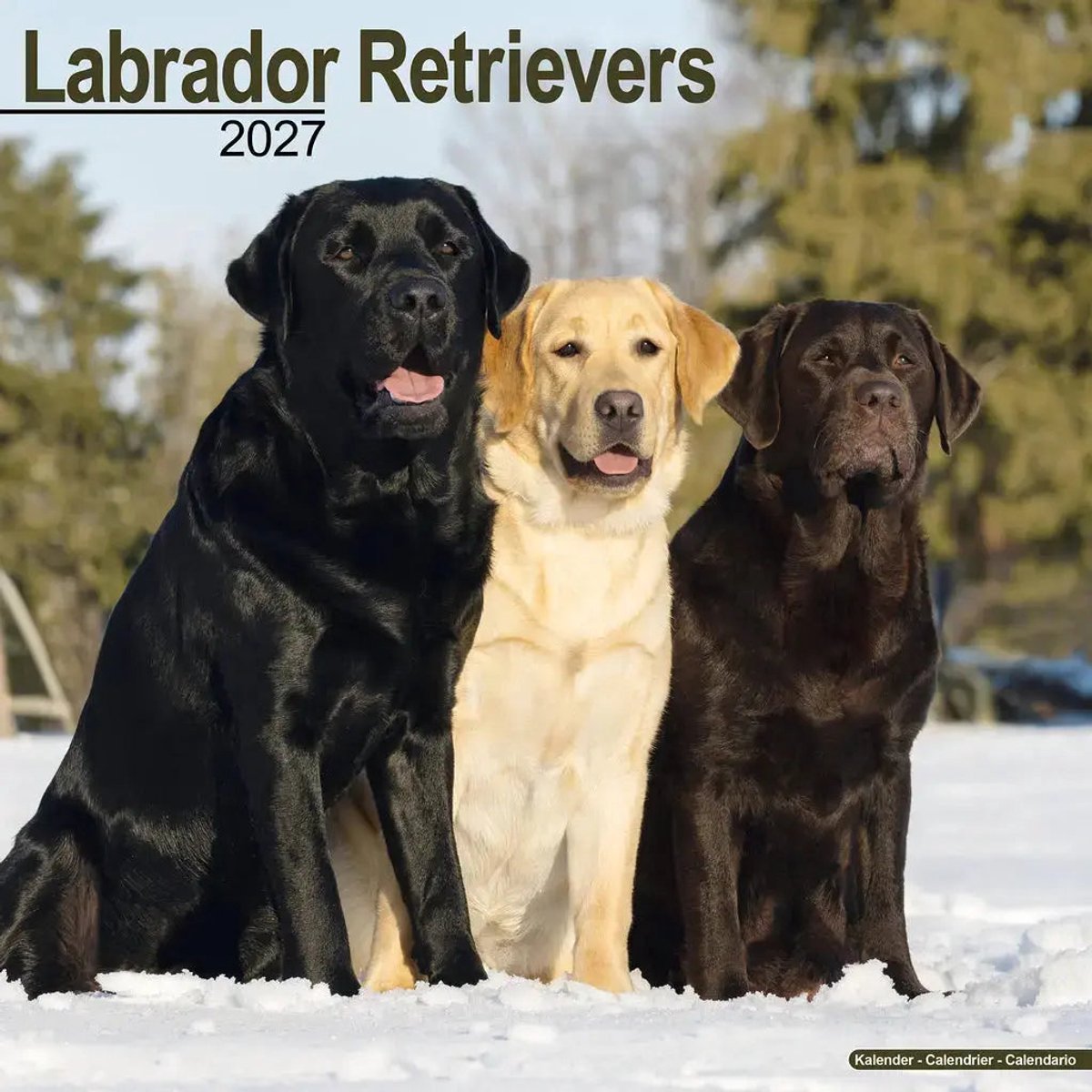 Labrador Retrievers Wall