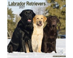 Labrador Retriever Mixed Kalender 2027