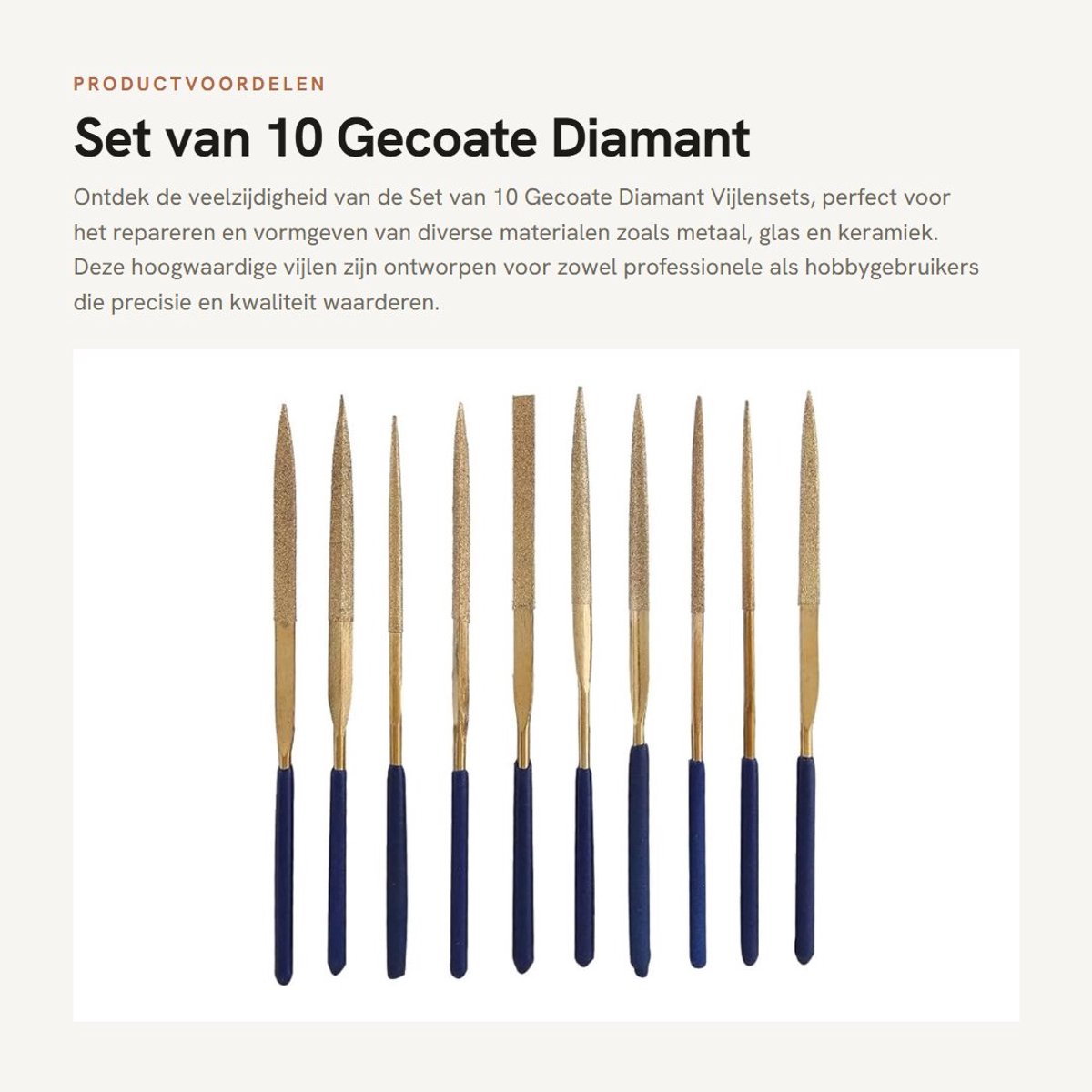 Dailygoods- Diamantvijlen Set 10 Stuks - Vijlenset voor Metaal/Glas/Ceramics - Diverse Vijlvormen - Hoogwaardige Slijtvastheid - Inclusief Handvat - Vijlen