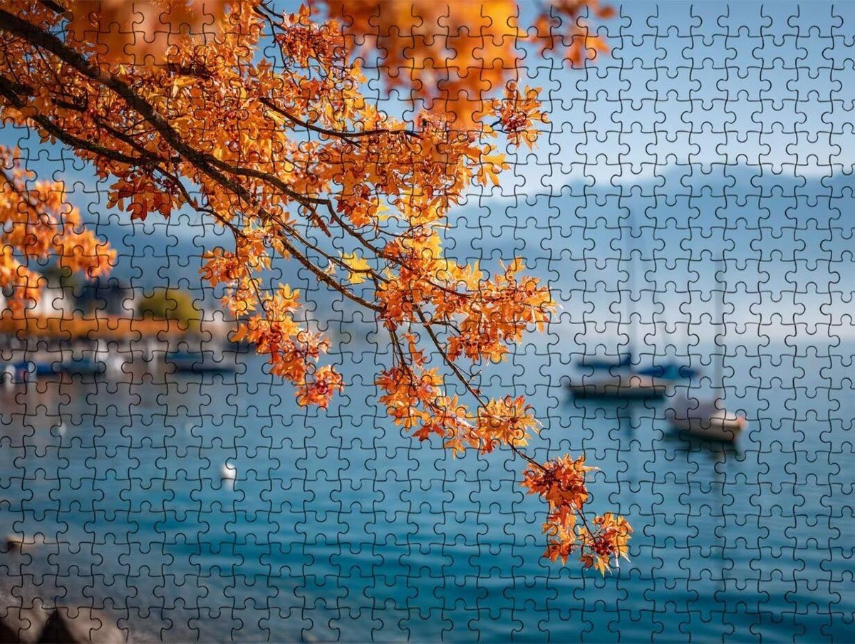 Legpuzzels Volwassenen - 3000 Stukjes Puzzel - Ontspannend Tijdverdrijf - Houten Puzzelstukken - 81x122cm - Meerkleurig
