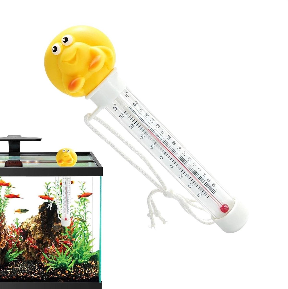 Drijvende Thermometer - Water Meetinstrument - Zwembad Temperatuur - Duidelijk Afleesbaar Scherm - 19 Centimeter - Schelp