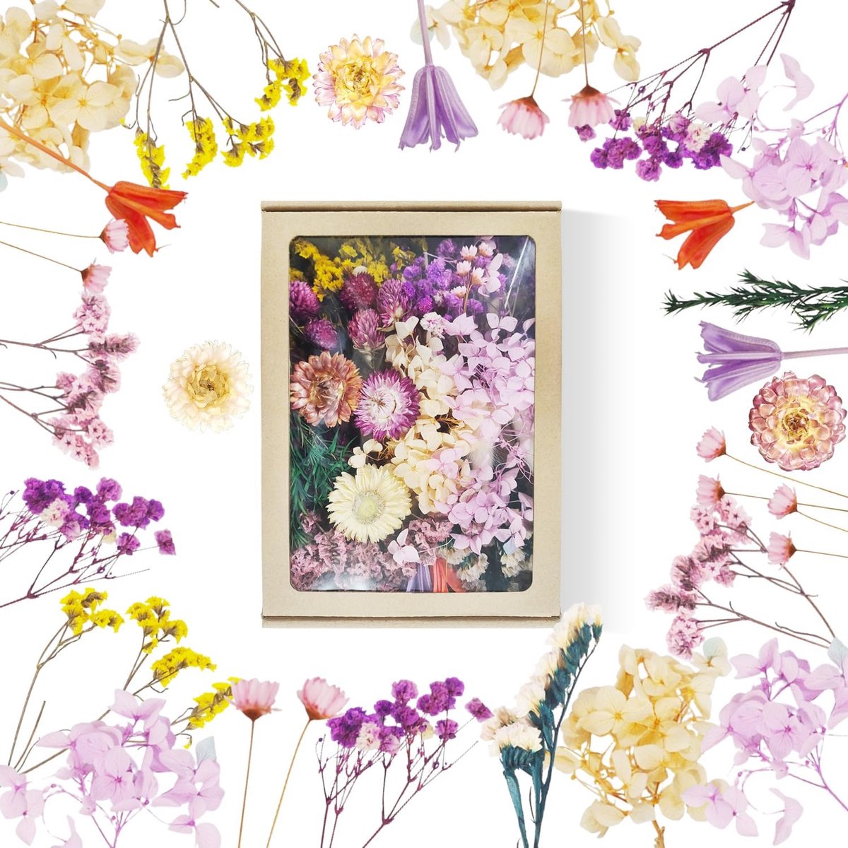 SnelShoppen - Natuurlijke gedroogde bloemen in papierdoos - Perfect voor decoratie, bruidsboeketten, feesten, en meer - Diverse kleuren en soorten - D