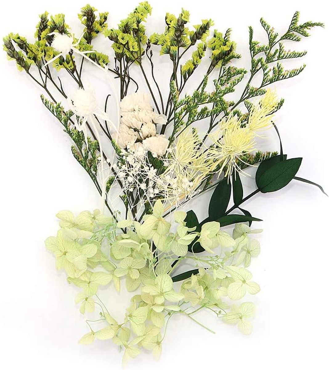 SnelShoppen - Kunstbloemen Dried Flower Box - Gedroogde Natuurlijke Bloemen voor DIY, Candle, Resin, Sieraden Maken, Home Decoratie, Midsummer Dream