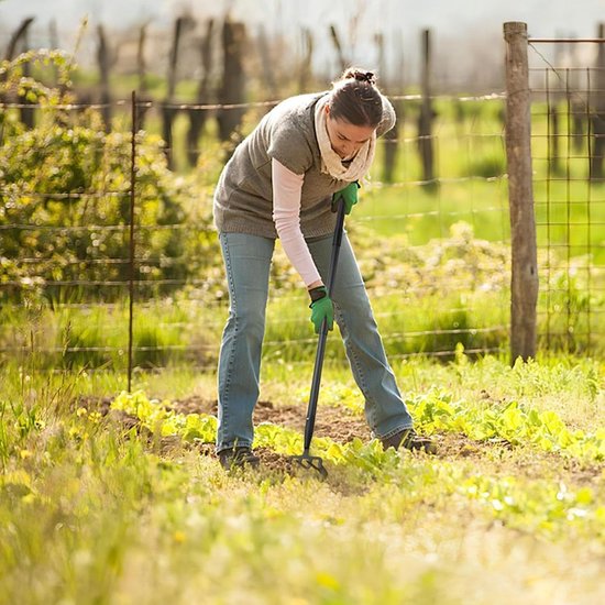 Tuinhakgereedschap - Schoffel hark - Tuinieren en wieden - Roestvrij staal - 16 m - Zilver — afbeelding 3