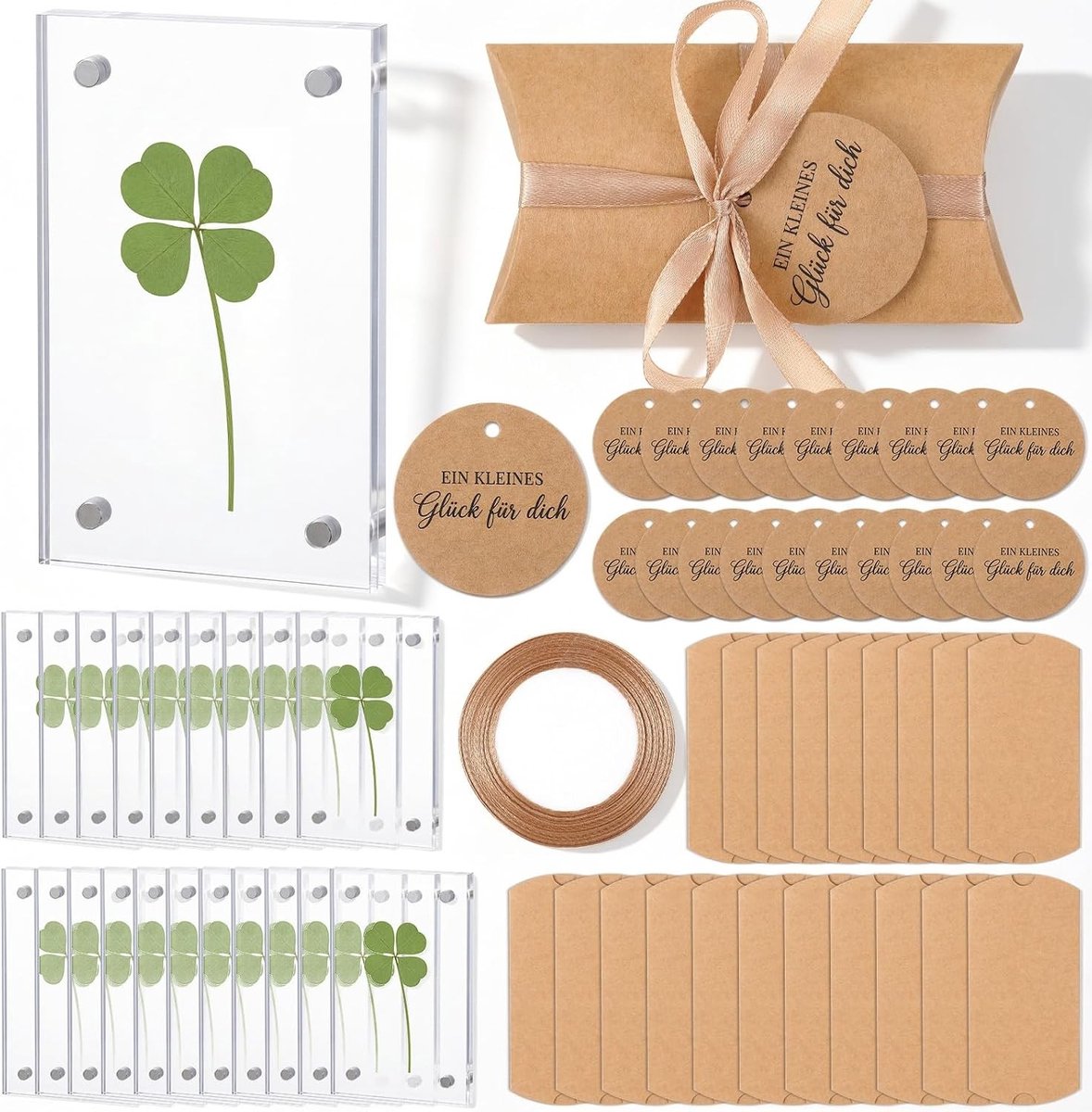 Vierbladig Klavertje Cadeaupakket met Geluksbrenger voor Examens, Bedankjes en Verjaardagen - Perfecte Cadeaus voor Vrouwen, Mannen en Collega's (20 Sets)