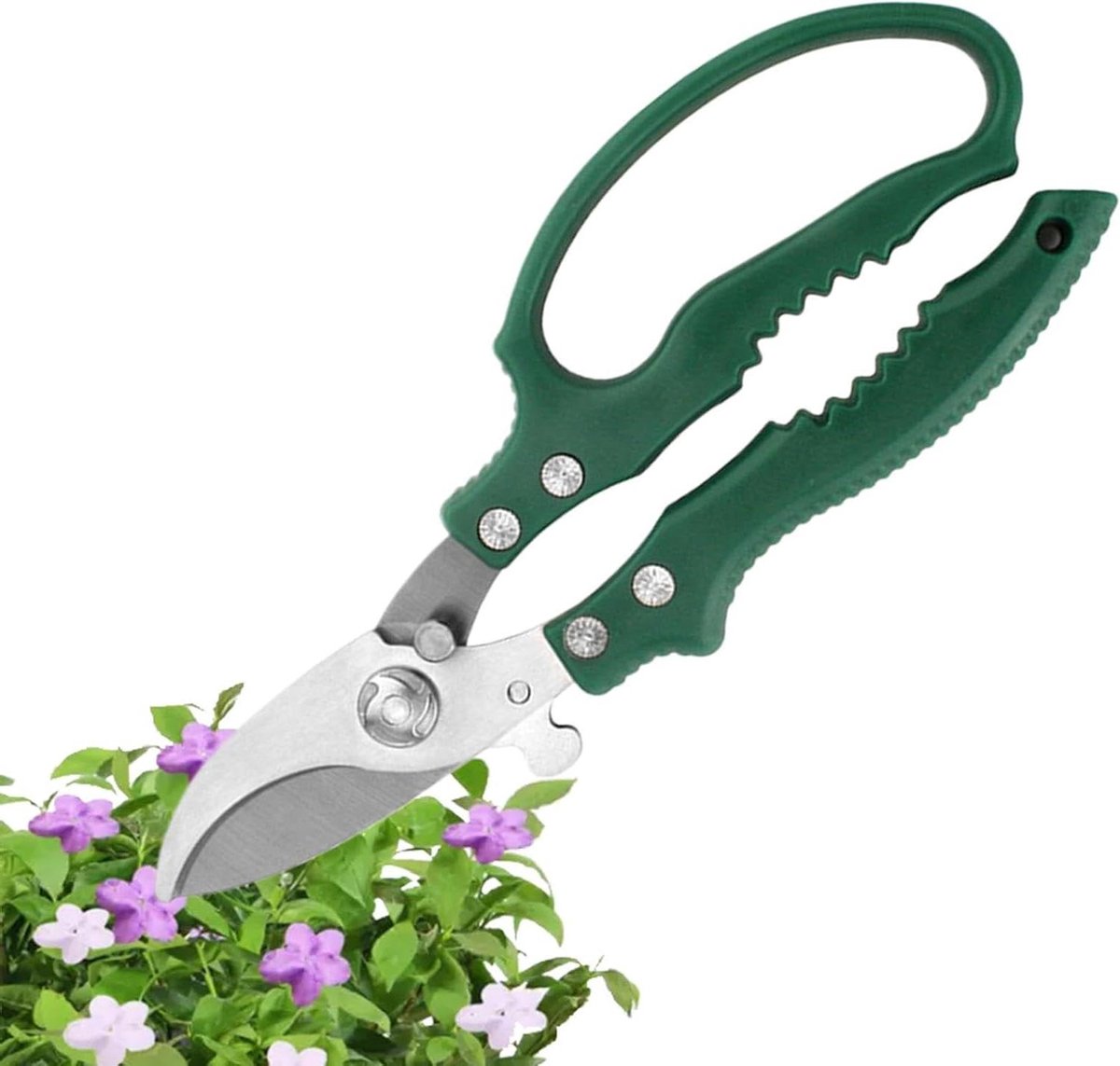 Tuinschaar - Snoeischaren Takkenschaar - Tuinonderhoud - Roestvrijstalen snijbladen - 21.5 cm - Gebogen hoofd