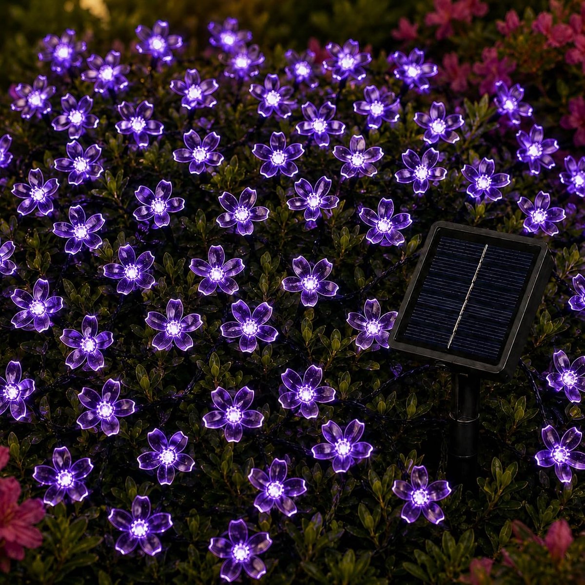 KZQ Zonne-led-ketting met kersenbloesemdesign, 5 meter met 20 paarse leds en 8 verschillende standen, weerbestendig en superhelder, ideaal voor tuin, balkon, bruiloft, feest, festival en kerstversiering