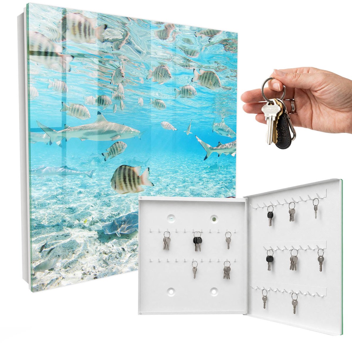 WallMuralia - Sleutelkast - 30x30x5 cm - met 50 haken - Waterleven Sleutelkastje Huis - Turkoois Sleutelbox - Rechtsopenend - Wit interieur