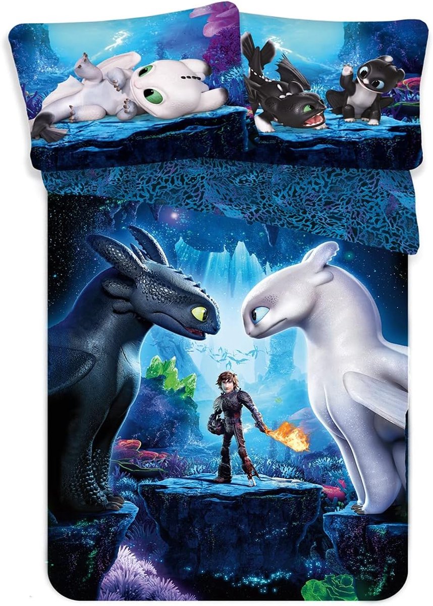 Set 2-delig kinderbeddengoed, dekbedovertrek, omkeerbaar beddengoed, 135 x 200 cm, 80 x 80 cm, katoen, kinderbeddengoed, Öko-Tex-standaard Duitse standaardmaat, How to Train Your Dragon