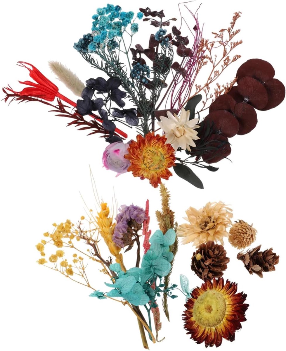 Gedroogde Bloemen - Natuurlijke Bloemen Bladeren - Hobby Ambachten - Natuurlijk Geperst - 2 Dozen - Diverse Kleuren