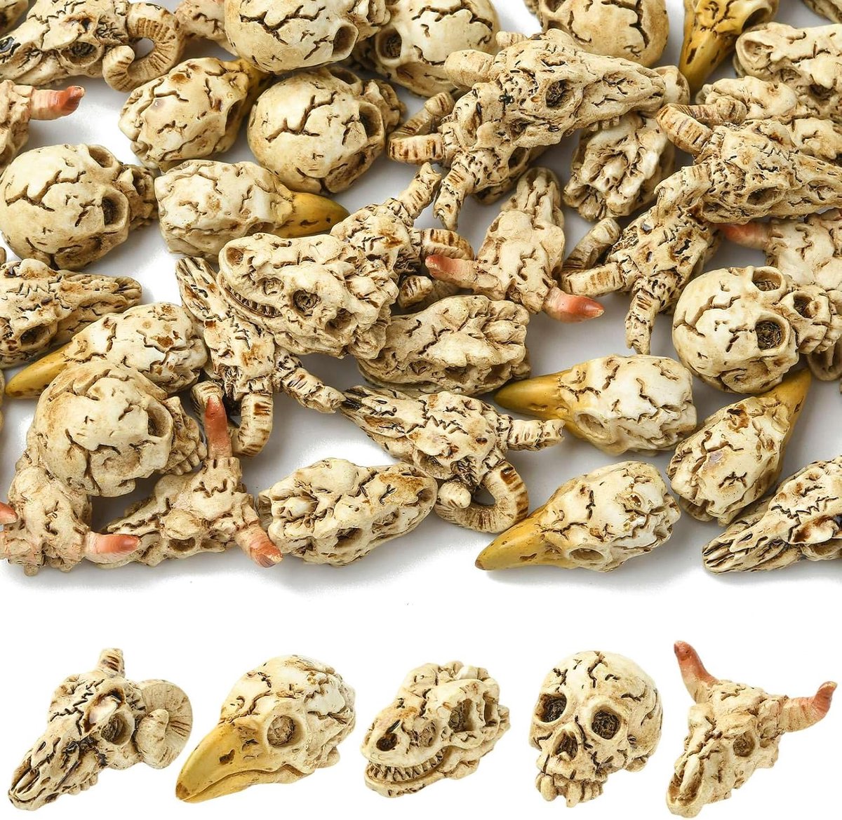 50 stuks 5 stijlen hars dier schedel beeldjes skelet miniatuur spookachtige sculptuur display ornament voor Halloween thuiskantoor desktop doen alsof rekwisiet decoraties