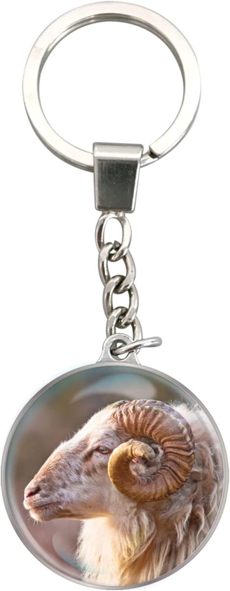 Keychains van Deluxebase. Kristalglas Sleutelhanger. Koepelvormige sleutelhanger met afbeelding van een met een roestvrijstalen ketting