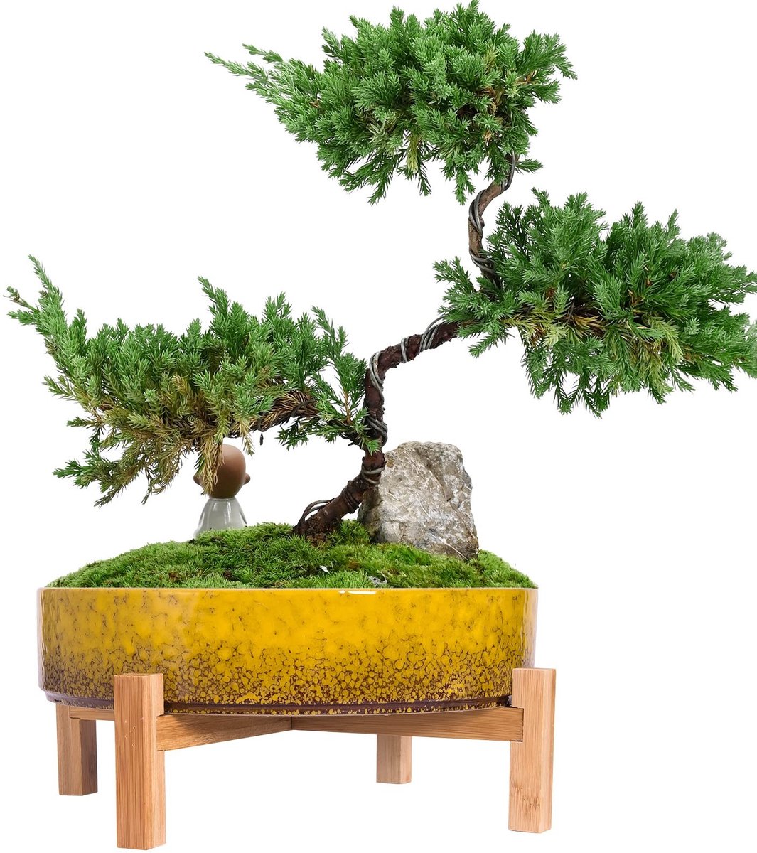 Omgoods - Grote Succulent Pot met Stand - Gele Keramische Cactus Pot voor Binnen/Buiten