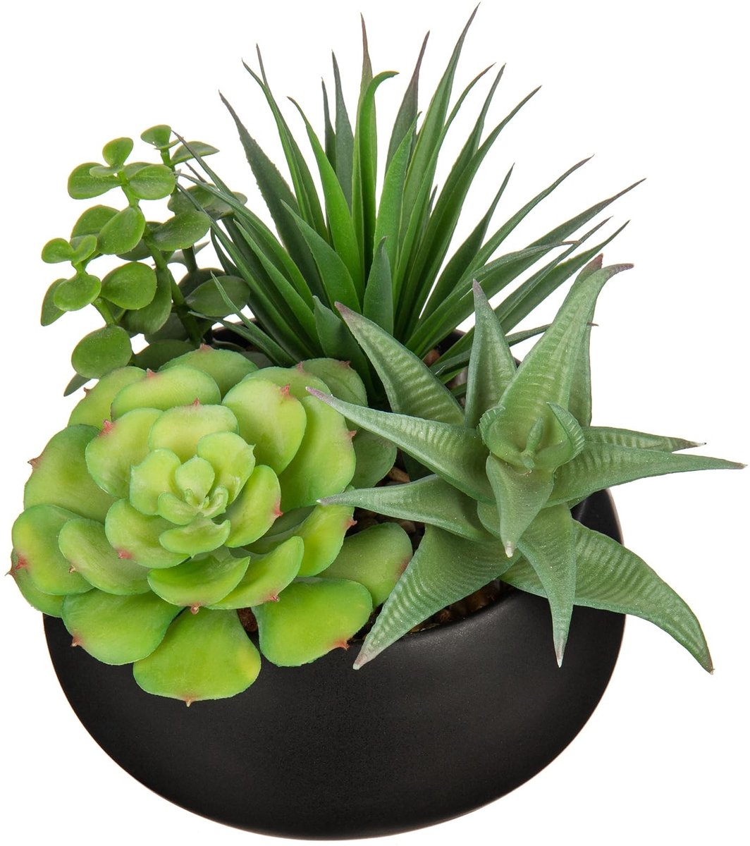 Omgoods - Realistische Kunstplanten in Zwarte Keramieken Pot voor Binnen