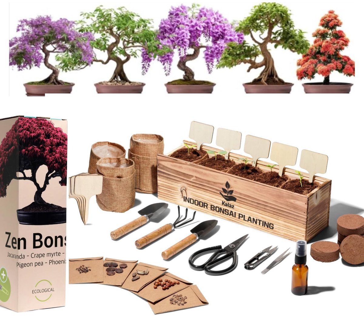 Omgoods - Compleet Bonsai Set met Gereedschap en Zaden