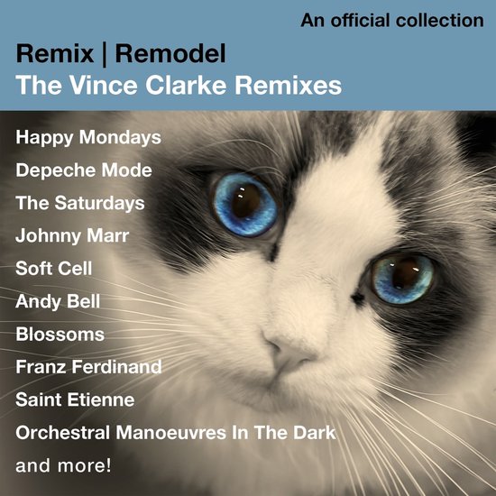 Remix / Remodel