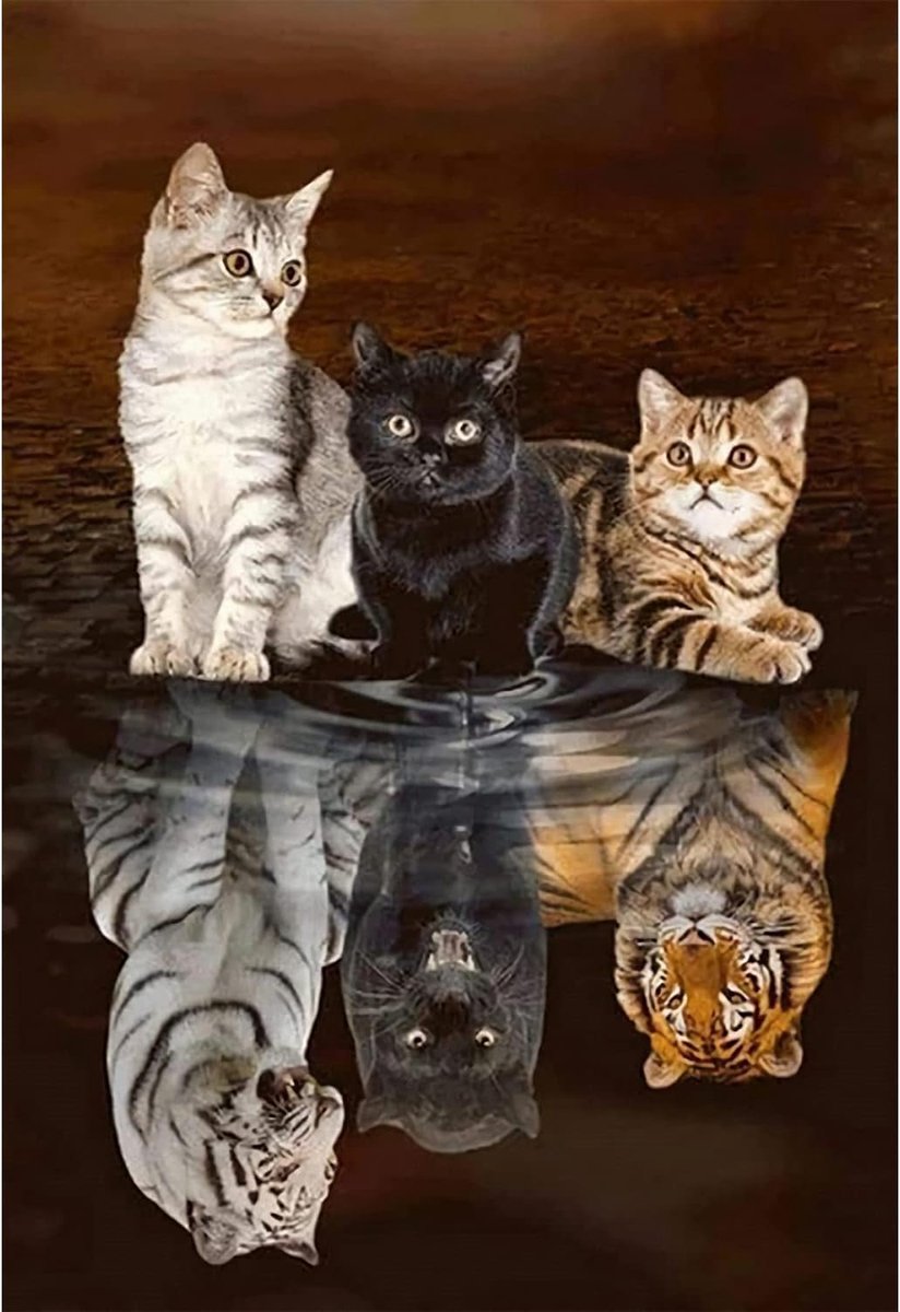 Diamond Painting Kat, 5D DIY Diamond Painting Volwassenen, 30 x 40 cm | High-definition canvas, extra diamanten, verlicht stress, ronde volledige diamant, voor wanddecoratie