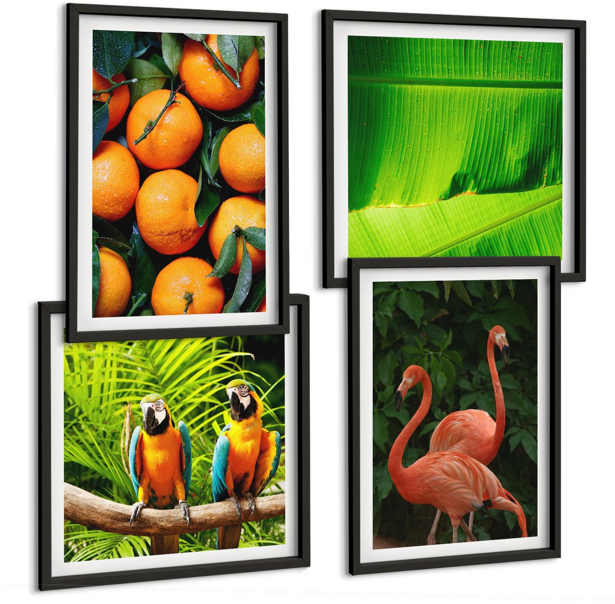 Tulup 4-Delige Schilderij Set - Fruitige accenten met papegaaien en flamingo's in de tropen - 40 x 40 cm en 40 x 60 cm - Muurdecoratie - Wanddecoratie - Slaapkamer - Stijlvolle Muurdecoratie