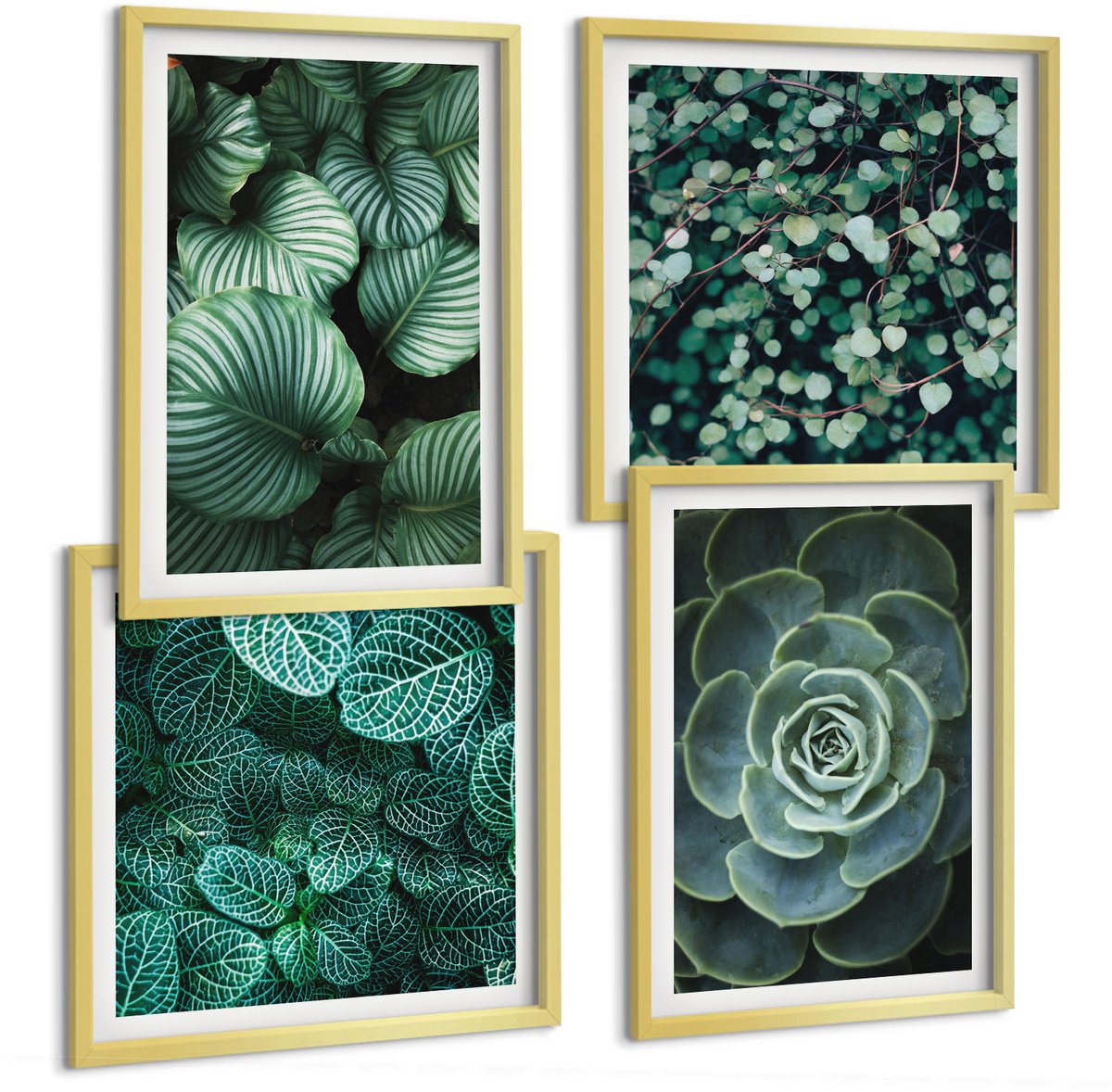 TULUP 4-Delige Schilderij Set - Groene bladeren van vetplanten en tere takjes - 40 x 40 cm en 40 x 60 cm - Muurdecoratie - Decoratieve Schilderijen - Wohnzimmer Gouden lijst