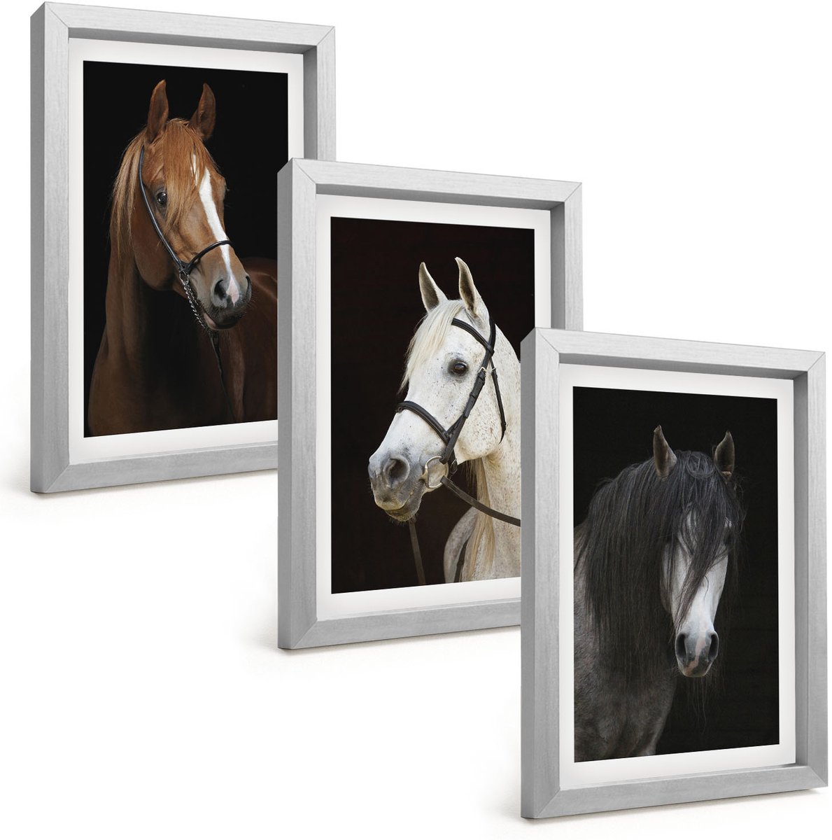 Tulup 4-Delige Schilderij Set - Portretten van paarden in verschillende vachtkleuren - 20 x 30 cm - Muurdecoratie - Wanddecoratie - Hal