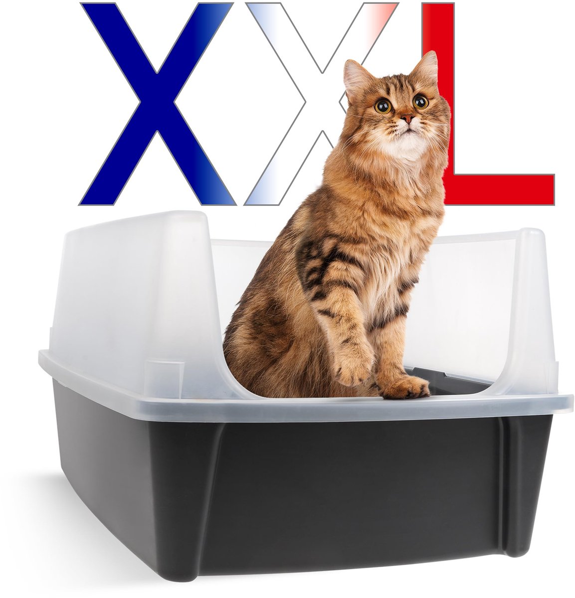 Famanu – Extra grote kattenbak, XL kattenbak in grijs met hoogzijdige lade en afneembare zijkanten, lekvrij en eenvoudig te reinigen, voor grote katten Famanu – Extra grote kattenbak, XL kattenbak in grijs met hoogzijdige lade en afneembare zijkanten, lekvrij en eenvoudig te reinigen, voor grote katten