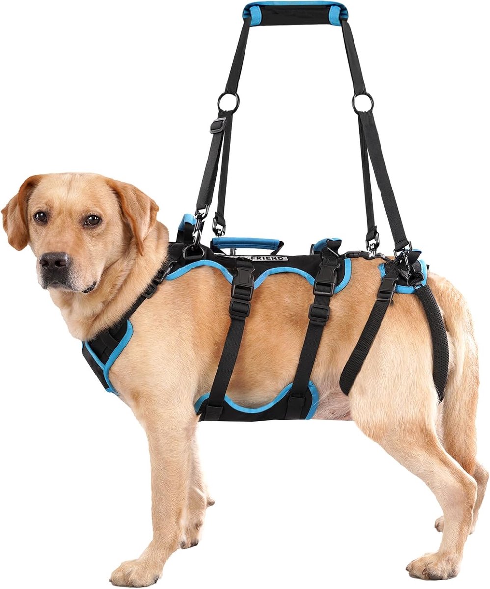Dog Lifting Harness for Medium Males, 2-in-1 Detachable Help Em Up Harness for Dogs, Full Body Carrying Harness with 4 - ShopVlot