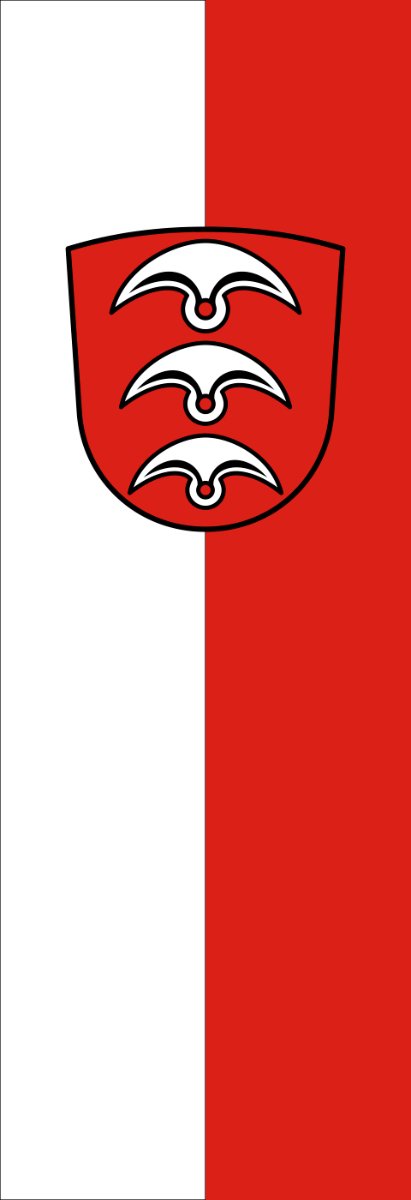 Vlag Fellbach 200x300cm