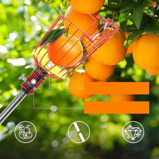 Fruitplukker Met Lange Steel - Verstelbare 8-Stangige Steel Grote Metalen Mand Met Schuimrubberen Kussen Montage Zonder Gereedschap in 5 Minuten - Voor Appels Peren Sinaasappels En Meer - Max. 3,2 M - Rood — afbeelding 4