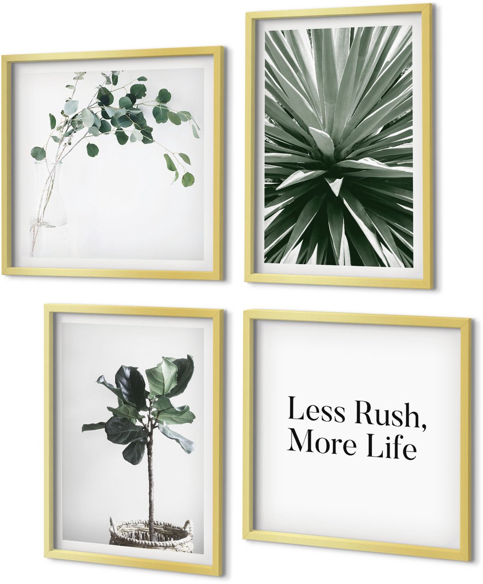 Coloray 4-Delige Schilderij Set - Groene planten in minimalistische stijl met belettering - 40 x 40 cm en 40 x 60 cm - Decoratieve Schilderijen - Woonkamer - Interieur - Moderne Wanddecoratie