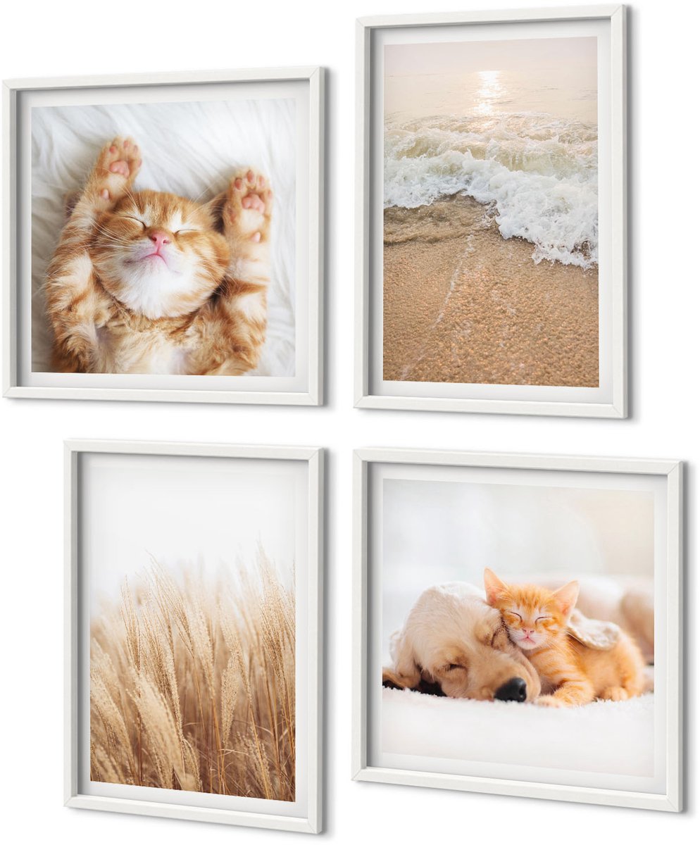 Coloray 4-Delige Schilderij Set - Schattige Dieren Katten Honden Strand Gras Boho - 40 x 40 En 40 x 60 - Stijlvolle Wanddecoratie - Interieur - Stijlvolle Muurdecoratie