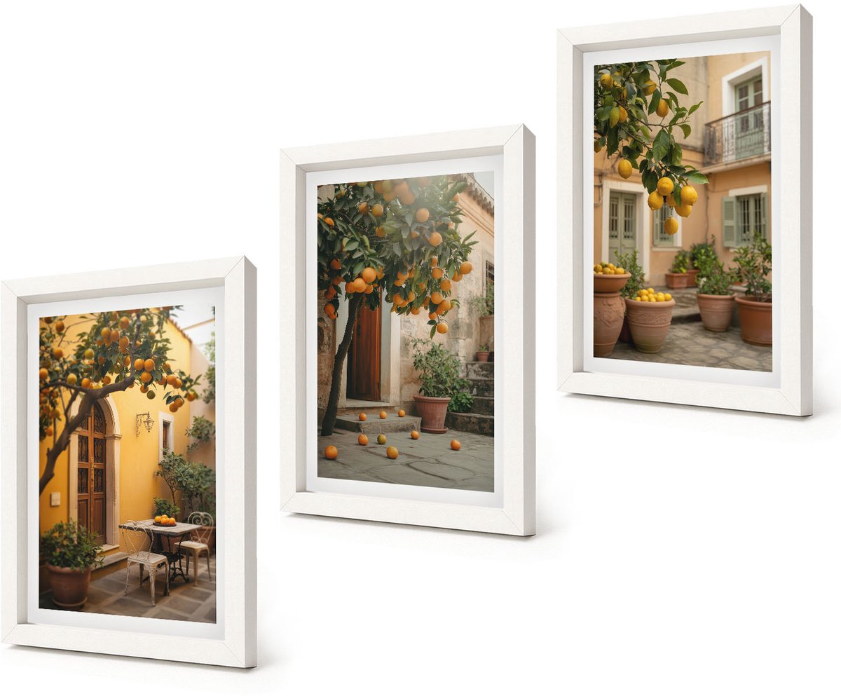 Coloray 3-Delige Schilderij Set - Tuin met citrusbomen op een zonnige locatie - 20x30 - Muurdecoratie - Schilderijen Set - Woonkamer - Woonkamer Decoratie