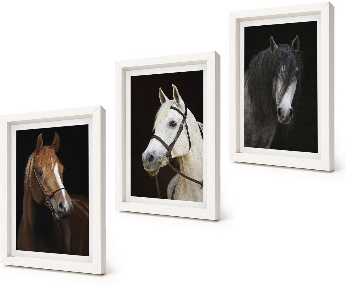 Coloray 3-Delige Schilderij Set - Portretten van paarden in verschillende vachtkleuren - 20x30 - Muurdecoratie - Wanddecoratie - Hal - Stijlvolle Muurdecoratie