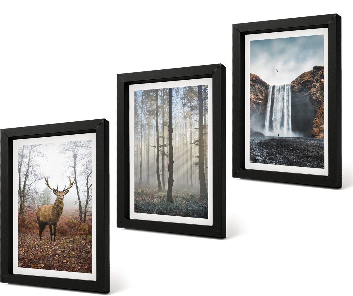 Coloray 4-Delige Schilderij Set - Boslandschappen Wilde natuur Herten - 20 x 30 cm - Schilderijen Set - Wanddecoratie - Woonkamer - Woonkamer Decoratie