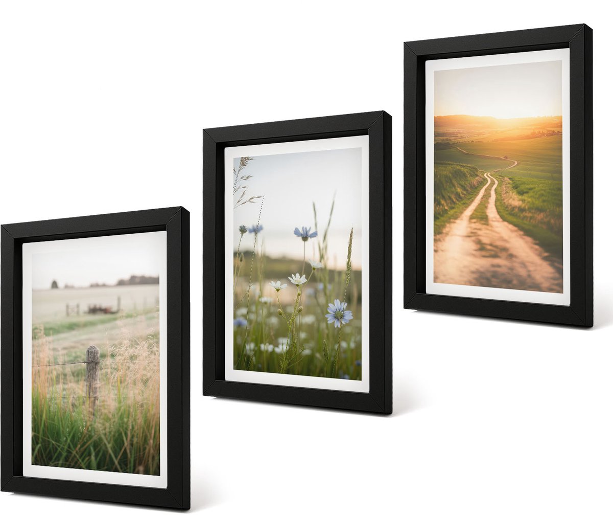 Coloray 4-Delige Schilderij Set - Natuurlandschappen met velden en paden in de zon. - 20 x 30 cm - Wanddecoratie - Muurdecoratie - Woonkamer - Interieur Decoratie