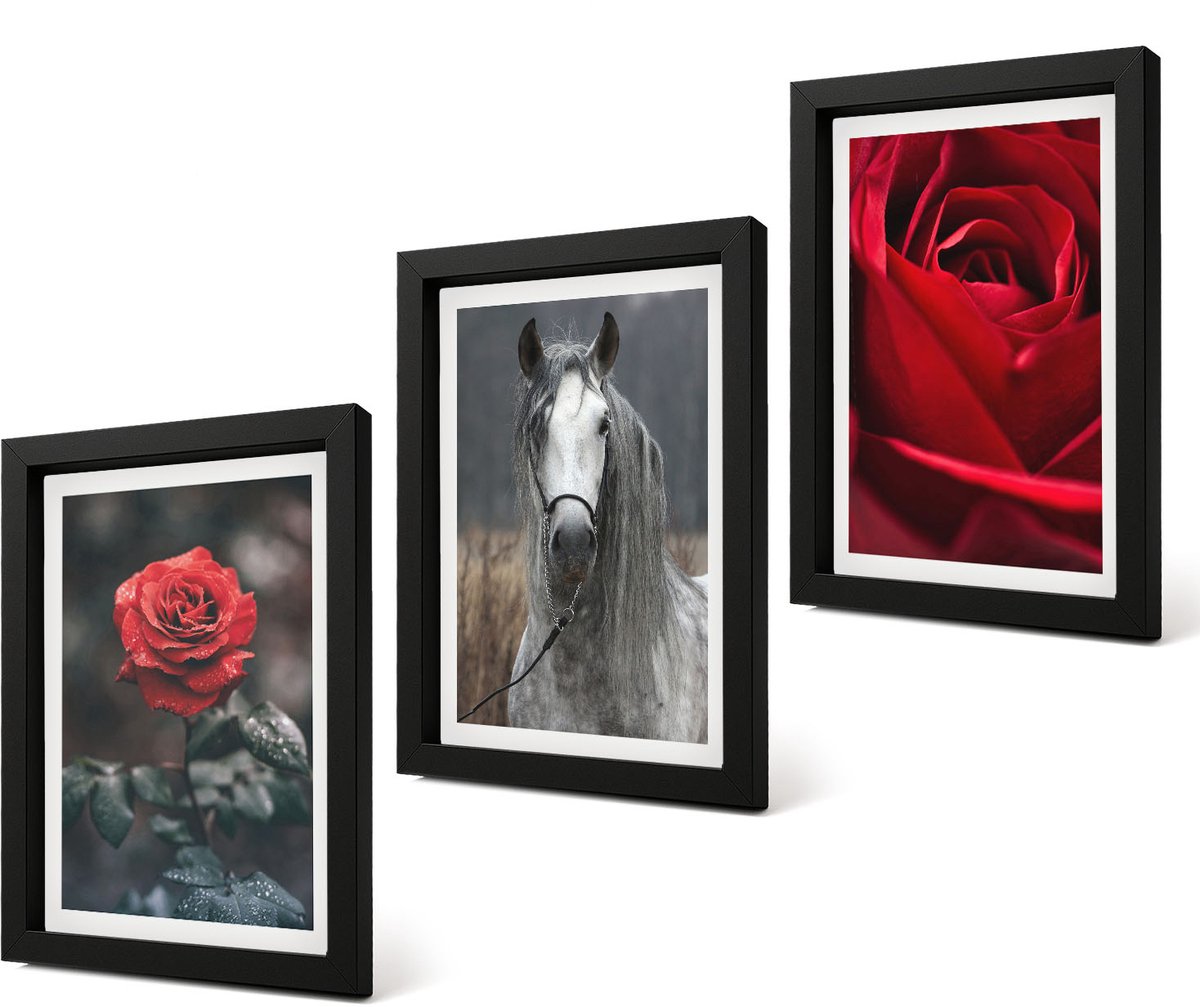Coloray 4-Delige Schilderij Set - Rode rozen en een paard in een grijze omgeving - 20 x 30 cm - Wanddecoratie - Schilderijen Set - Kantoor - Moderne Wanddecoratie