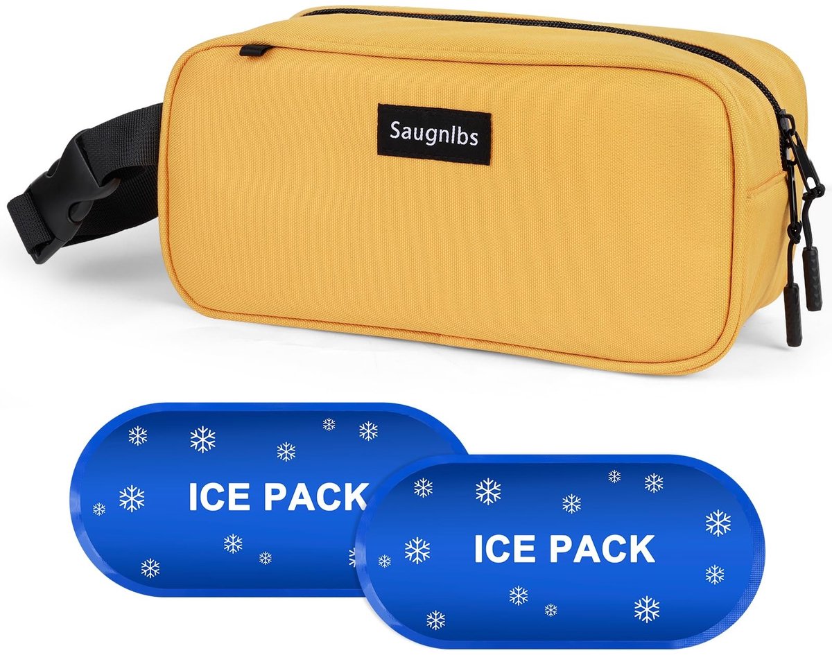 Dailygoods- Koeltas Mini - Isolatiebox met Koelelementen - Geïsoleerde Lunchtas - Handgreepsluiting - Voor Reizen/School/Outdoor - Lichtgewicht - Lunchbox