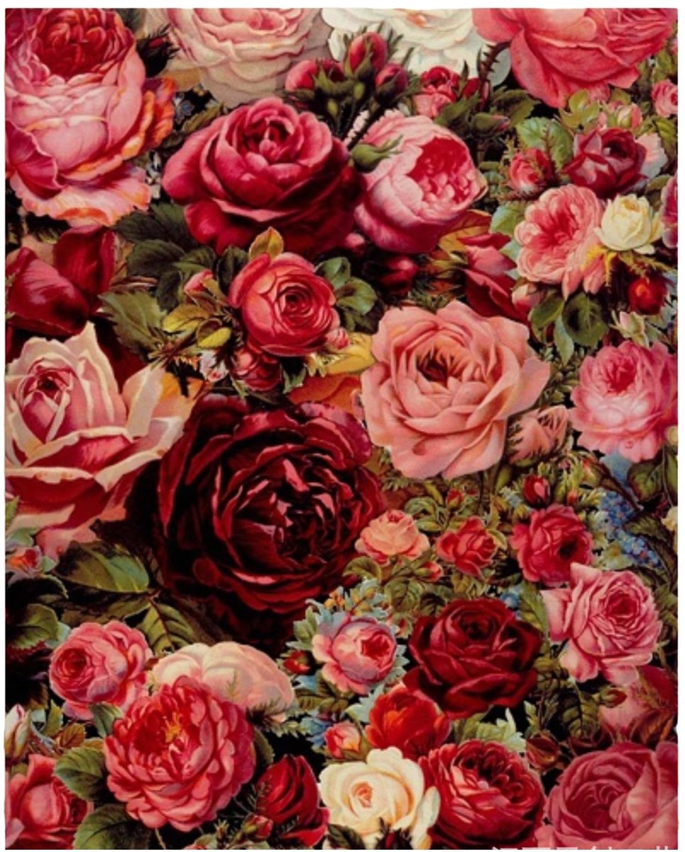 Dailygoods- Schilderen op Nummer - Kleurrijke Boom - Professioneel Canvas - 40 x 50 cm - Milieuvriendelijk Acryl - Sneldrogende Verf - Schilderpakket